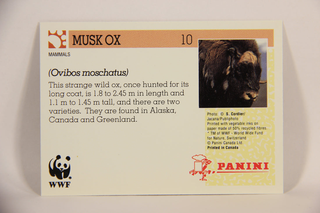 Wildlife In Danger WWF 1992 Trading Card #10 Musk Ox ENG L004548