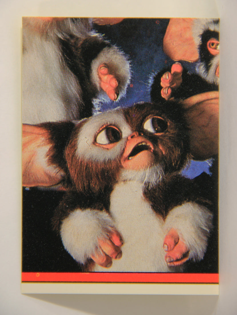 Gremlins 2 The New Batch 1990 Sticker Card #8 Lenny & George ENG Red Border L006877