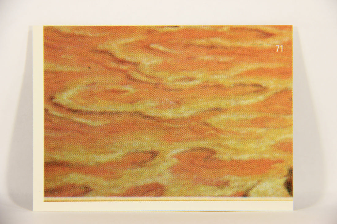 Starlog 1993 Trading Card #71 Altered States "Cover Number 44" L007639