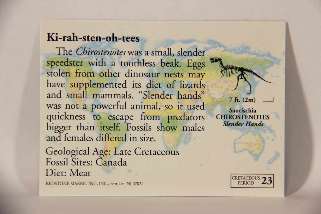 Dinosaurs The Mesozoic Era 1993 Vintage Trading Card #23 Chirostenotes ENG L011316