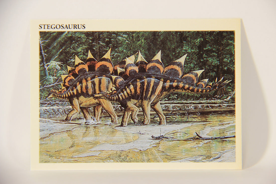 Dinosaurs The Mesozoic Era 1993 Vintage Trading Card #30 Stegosaurus ENG L011323