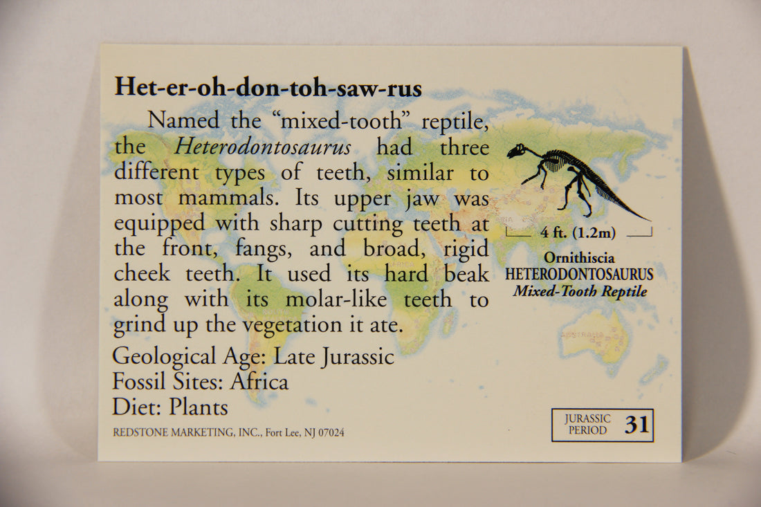 Dinosaurs The Mesozoic Era 1993 Vintage Trading Card #31 Heterodontosaurus ENG L011324