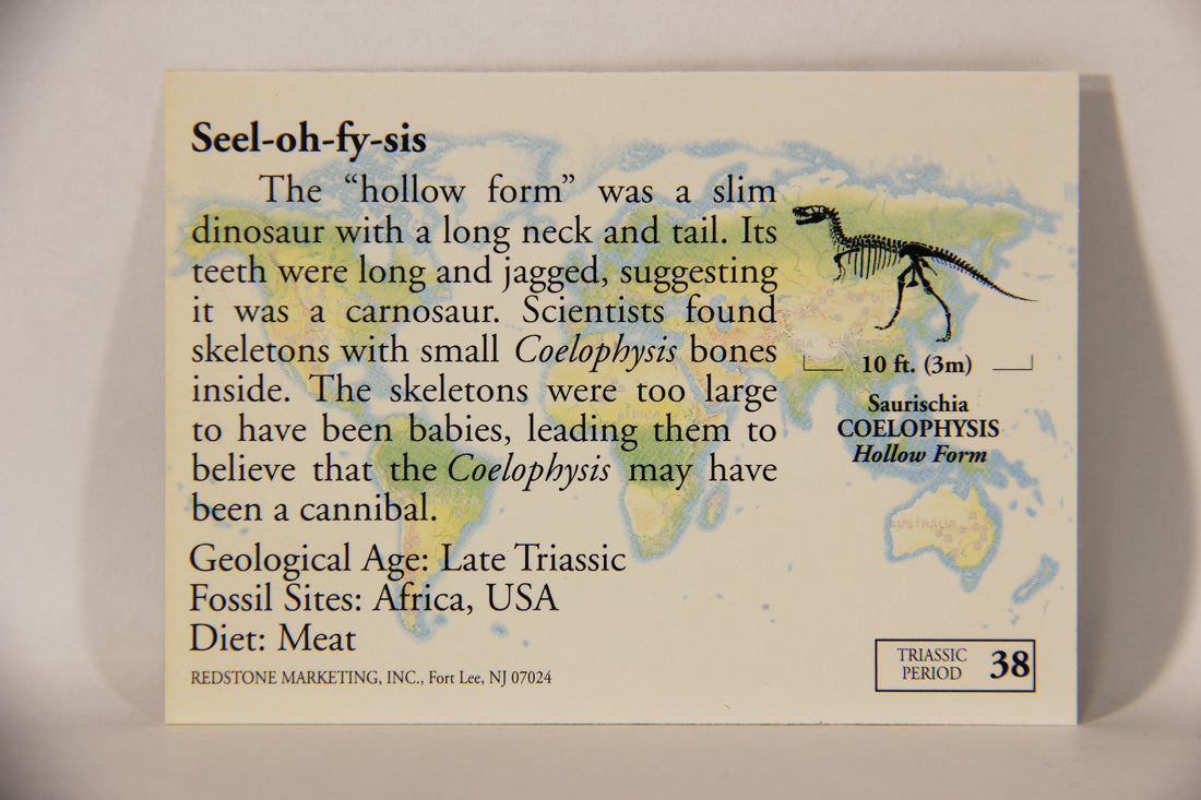 Dinosaurs The Mesozoic Era 1993 Vintage Trading Card #38 Coelophysis ENG L011331