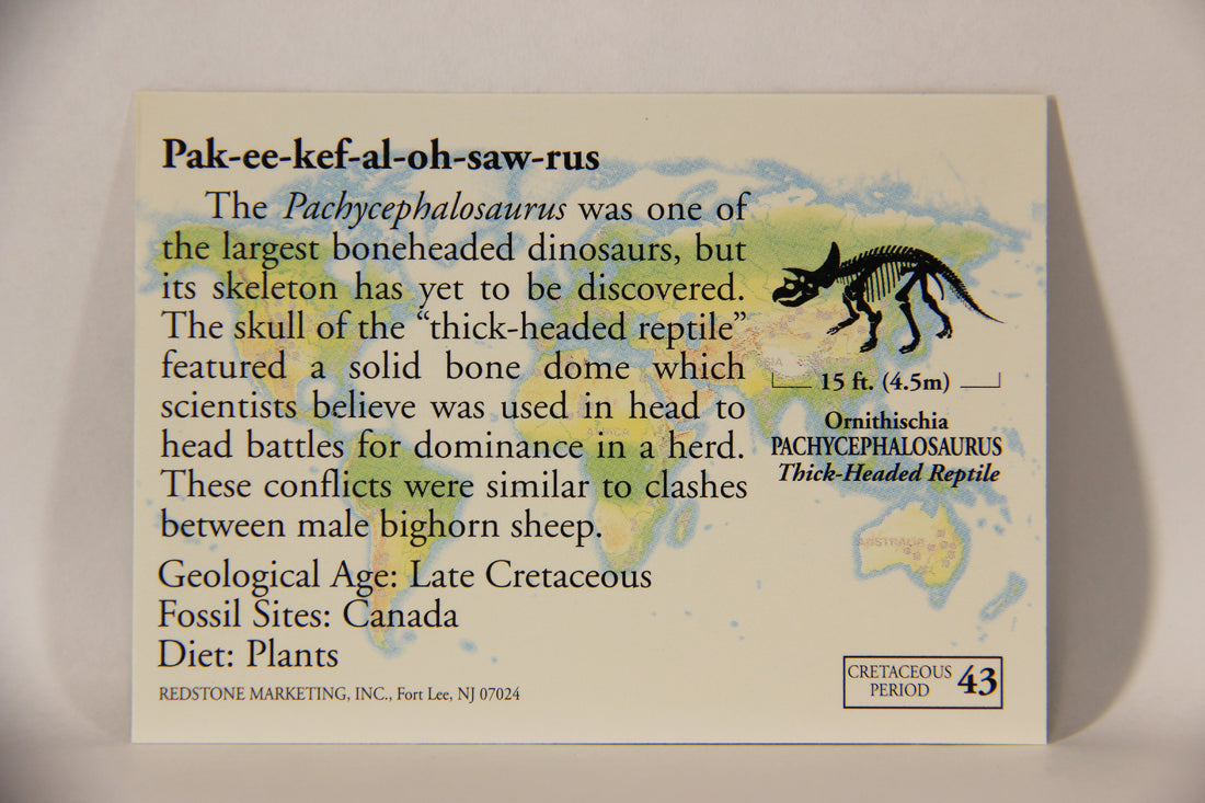 Dinosaurs The Mesozoic Era 1993 Vintage Trading Card #43 Pachycephalosaurus ENG L011336
