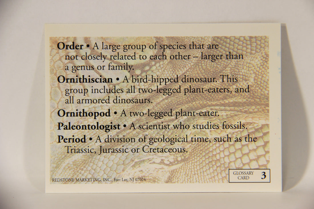 Dinosaurs The Mesozoic Era 1993 Vintage Trading Card Glossary #3 J-P ENG L011342