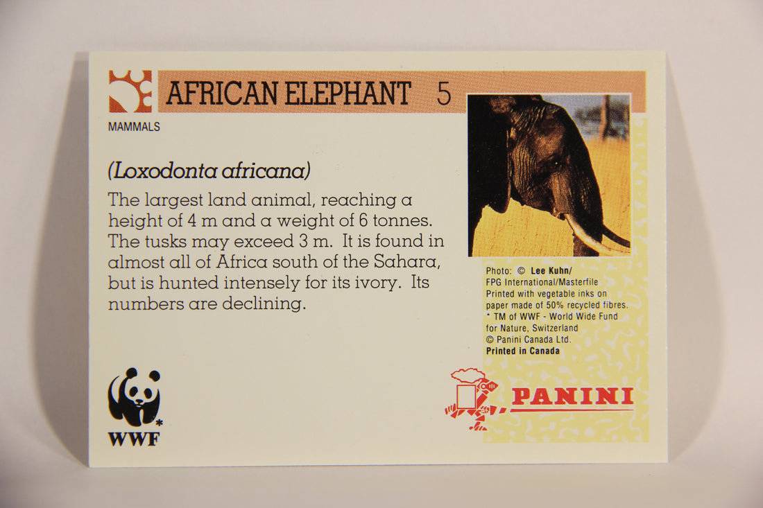 Wildlife In Danger WWF 1992 Trading Card #5 African Elephant ENG L011495