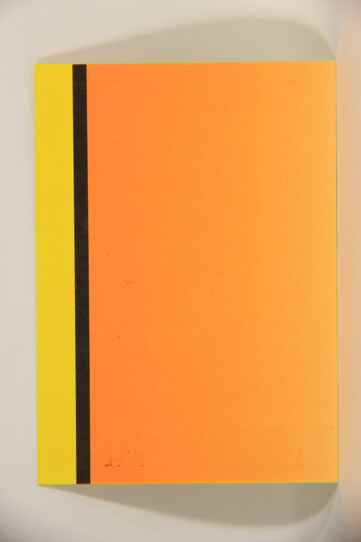 Rad-Dudes 1990 Puzzle Trading Card # ( 66 ) Skate Board Scott L012807