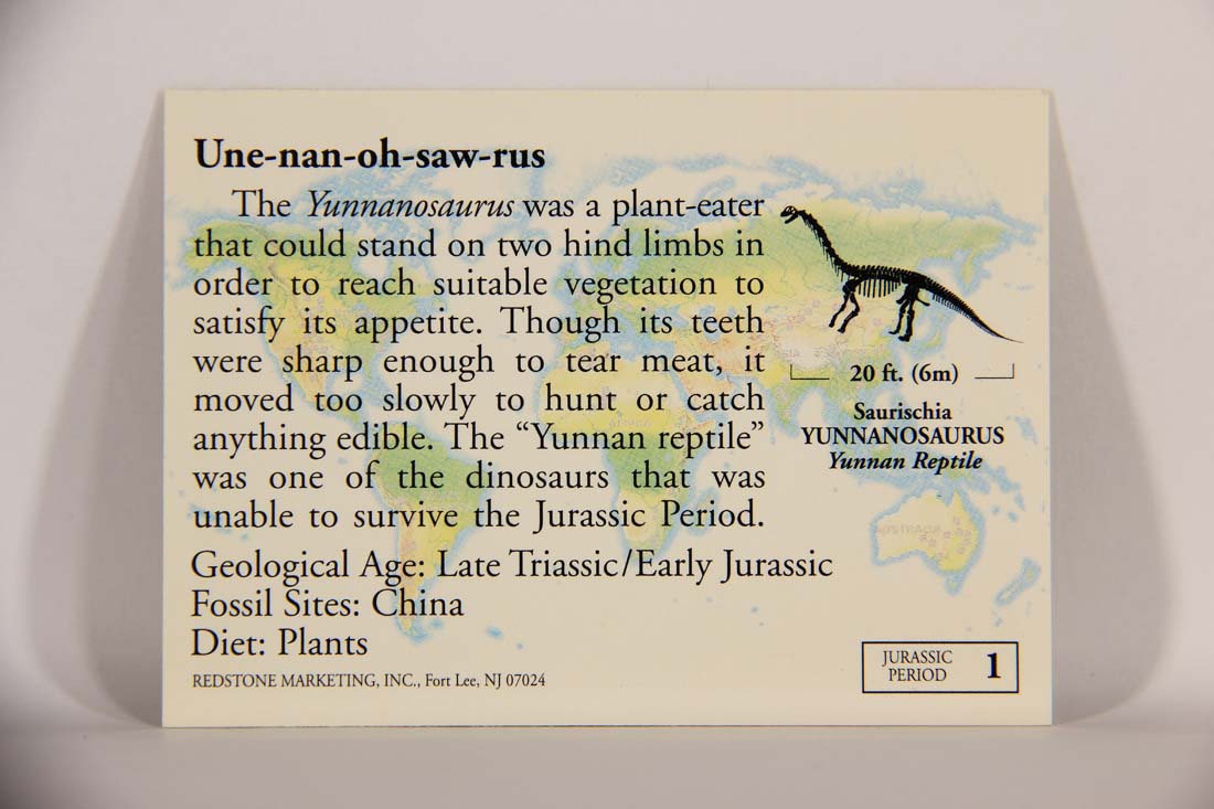 Dinosaurs The Mesozoic Era 1993 Vintage Trading Card #1 Yunnanosaurus ENG L013414
