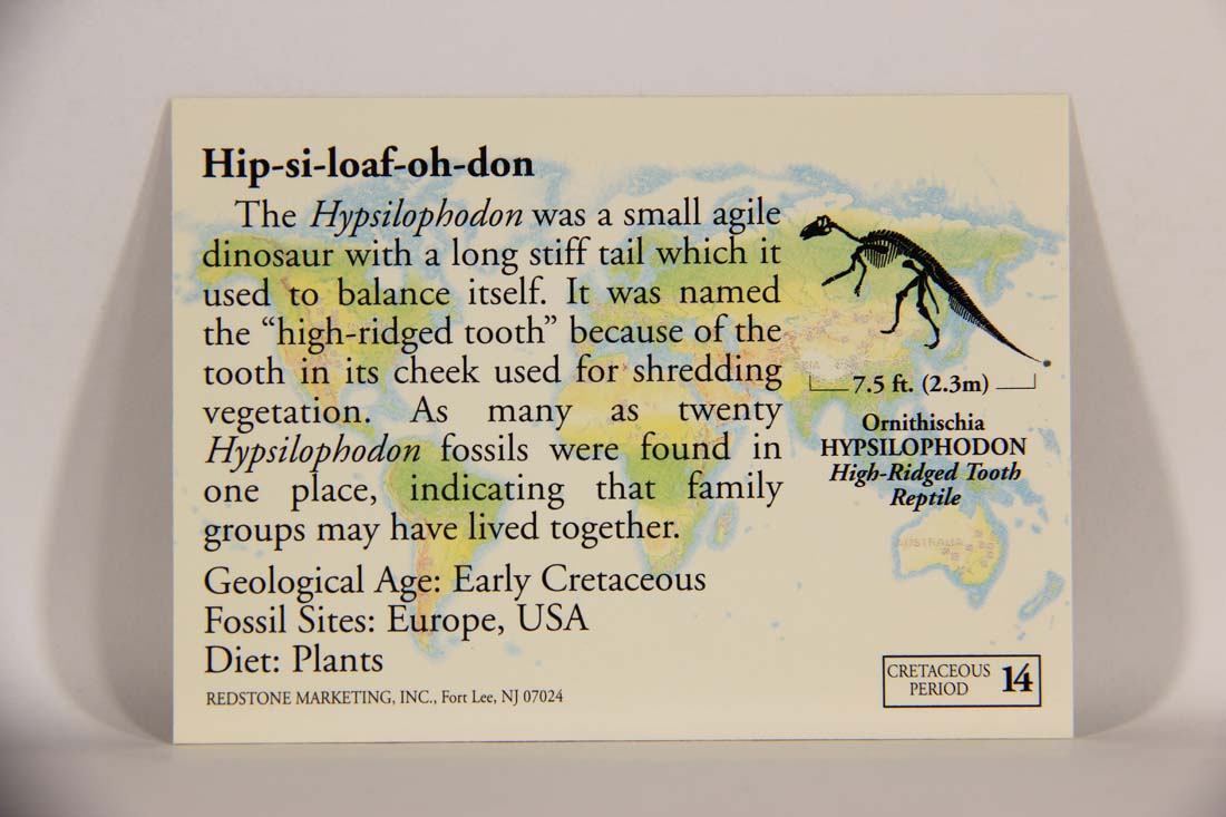 Dinosaurs The Mesozoic Era 1993 Vintage Trading Card #14 Hypsilophodon ENG L013421