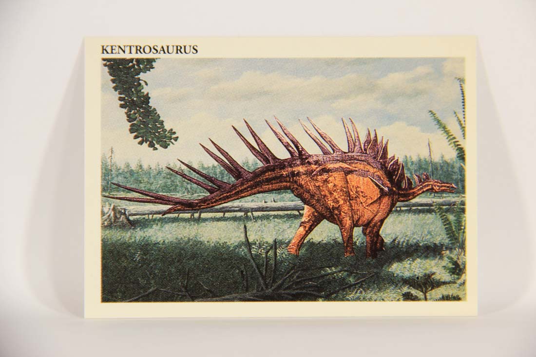 Dinosaurs The Mesozoic Era 1993 Vintage Trading Card #36 Kentrosaurus ENG L013423