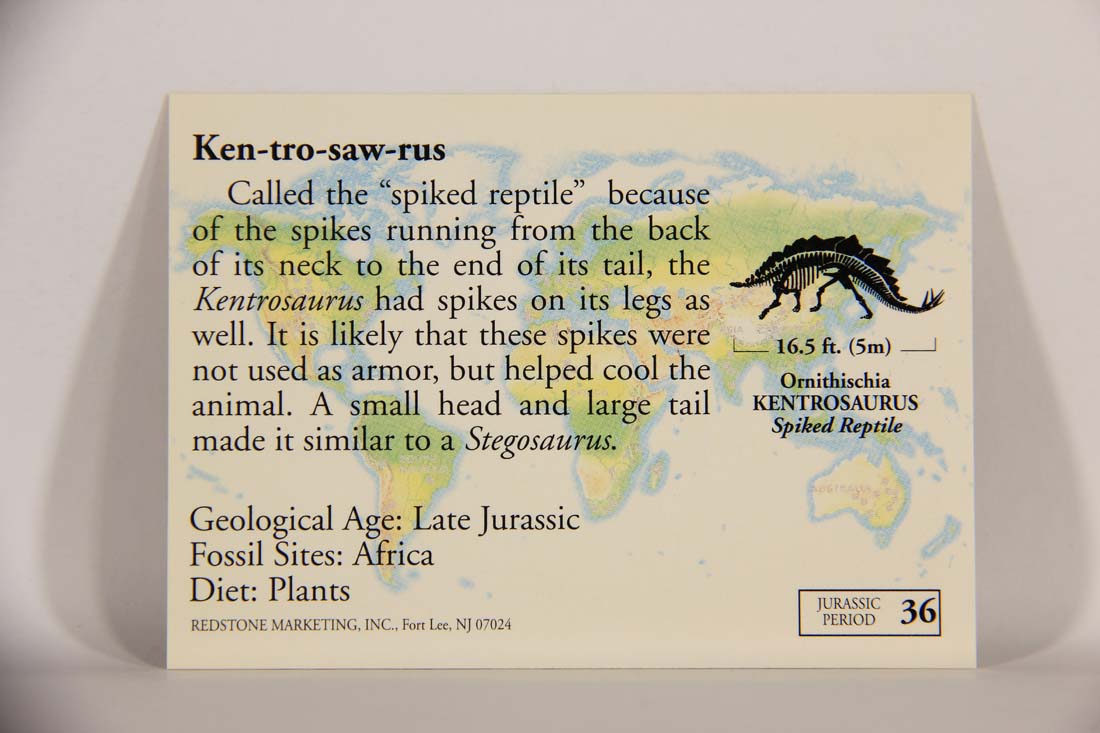 Dinosaurs The Mesozoic Era 1993 Vintage Trading Card #36 Kentrosaurus ENG L013423