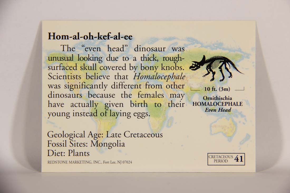 Dinosaurs The Mesozoic Era 1993 Vintage Trading Card #41 Homalocephale ENG L013425
