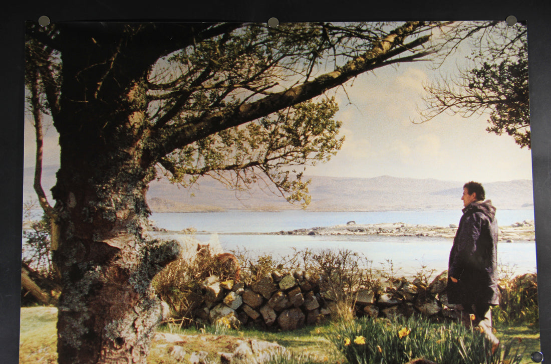 Deux Jours À Tuer 2008 Movie Poster Rolled 27 x 39 Affiche Jean Becker L015926