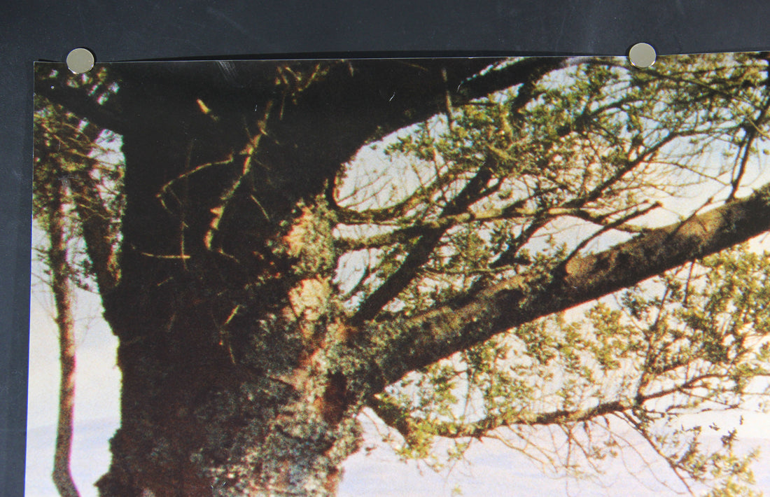 Deux Jours À Tuer 2008 Movie Poster Rolled 27 x 39 Affiche Jean Becker L015926