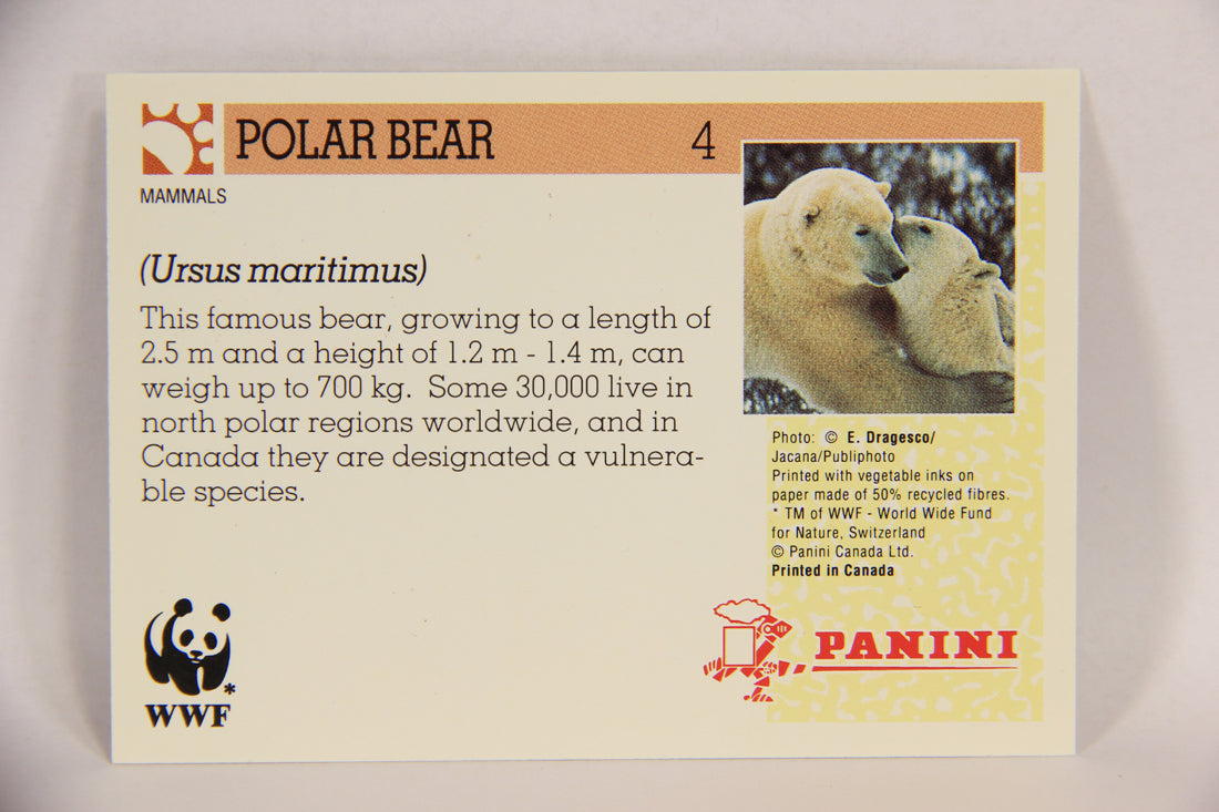 Wildlife In Danger WWF 1992 Trading Card #4 Polar Bear ENG L016947