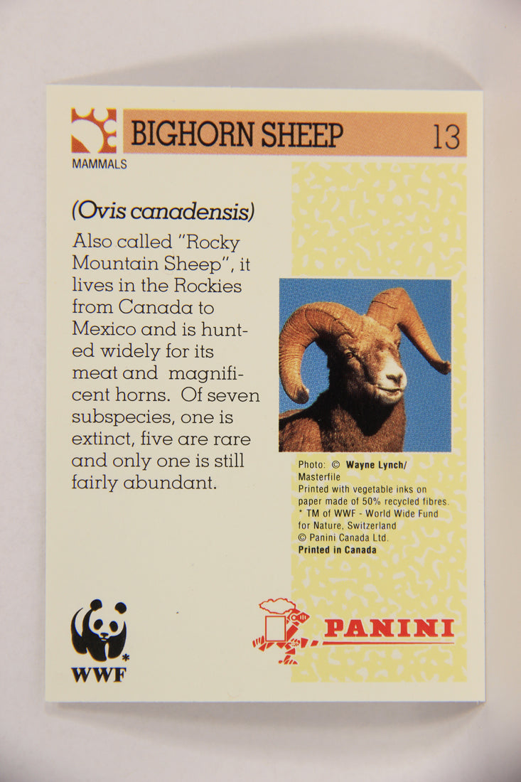 Wildlife In Danger WWF 1992 Trading Card #13 Bighorn Sheep ENG L016949