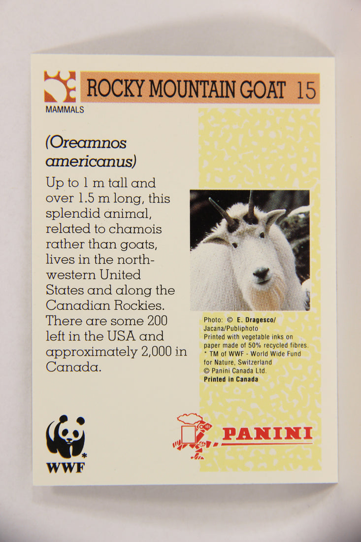 Wildlife In Danger WWF 1992 Trading Card #15 Rocky Mountain Goat ENG L016951