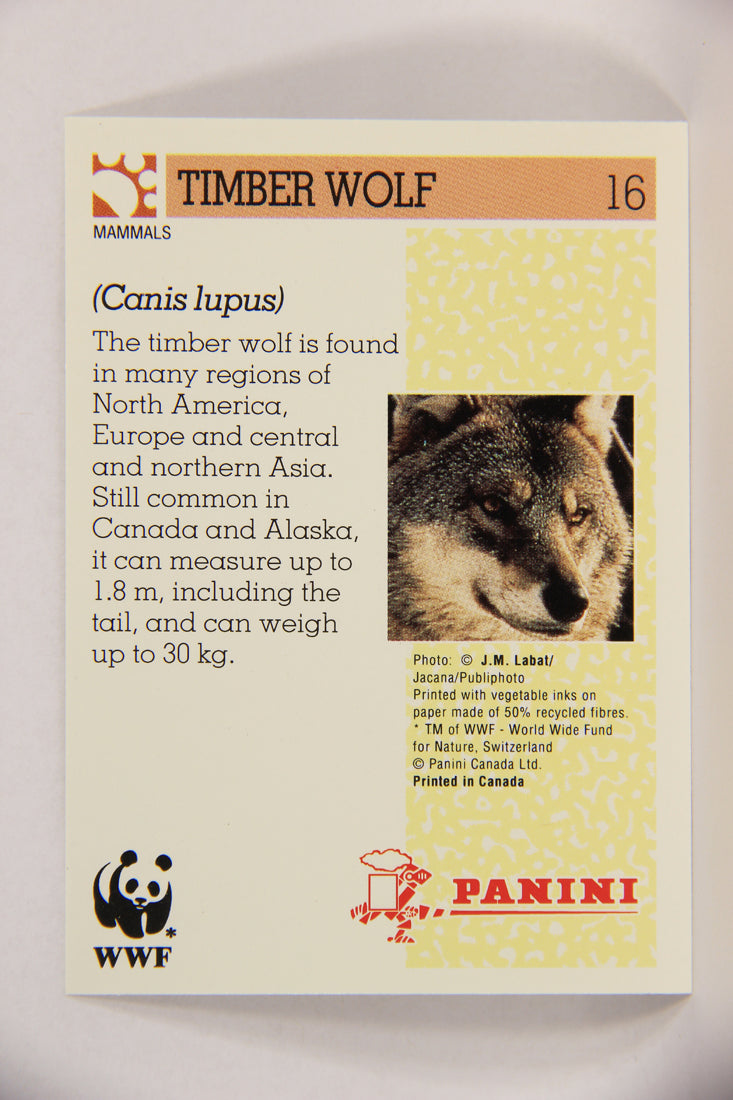 Wildlife In Danger WWF 1992 Trading Card #16 Timber Wolf ENG L016952
