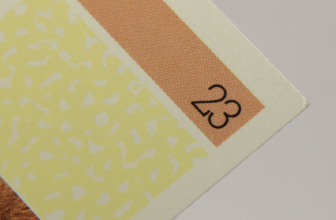 Wildlife In Danger WWF 1992 Trading Card #23 Lion ENG L016959