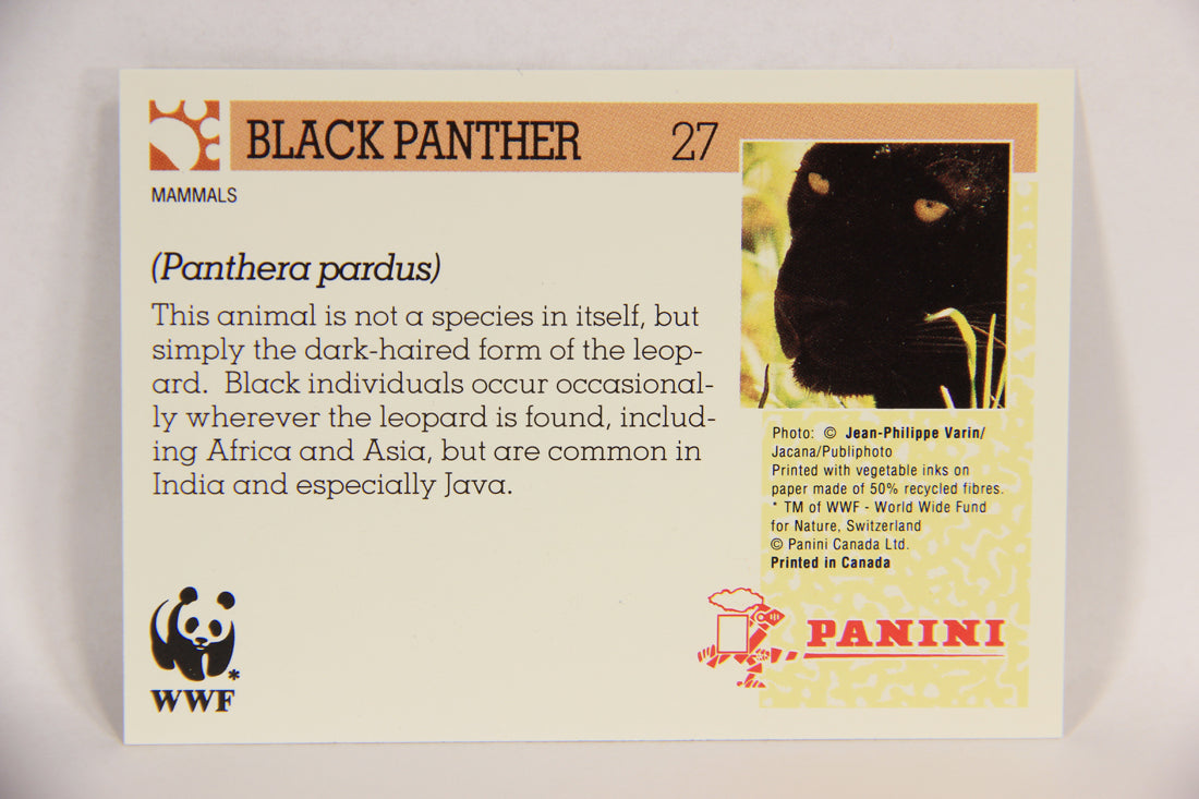 Wildlife In Danger WWF 1992 Trading Card #27 Black Panther ENG L016963