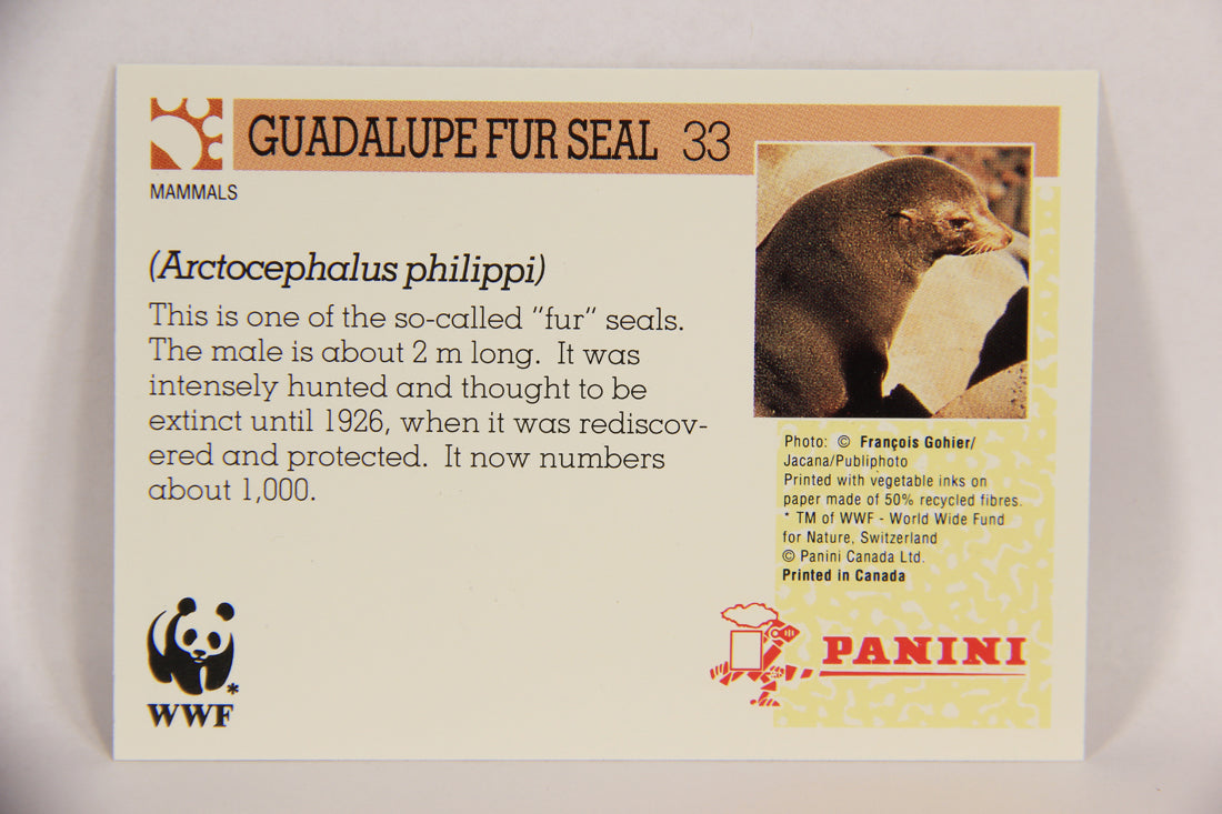 Wildlife In Danger WWF 1992 Trading Card #33 Guadalupe Fur Seal ENG L016969