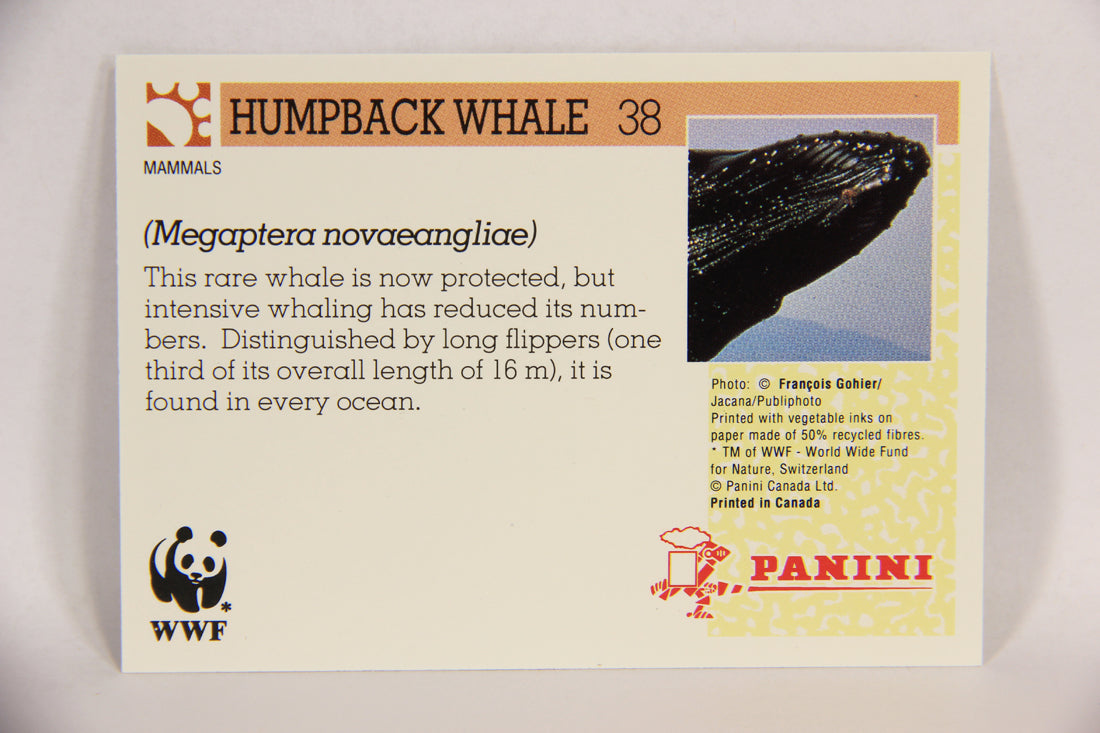 Wildlife In Danger WWF 1992 Trading Card #38 Humpback Whale ENG L016974