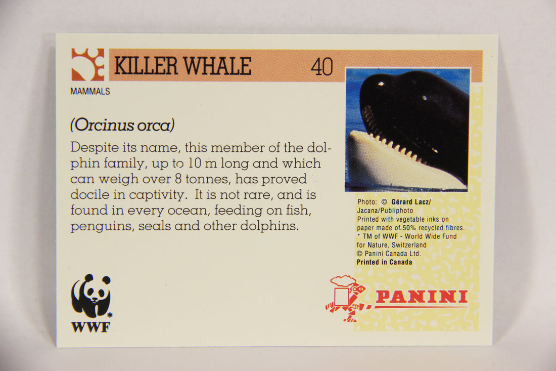 Wildlife In Danger WWF 1992 Trading Card #40 Killer Whale ENG L016976
