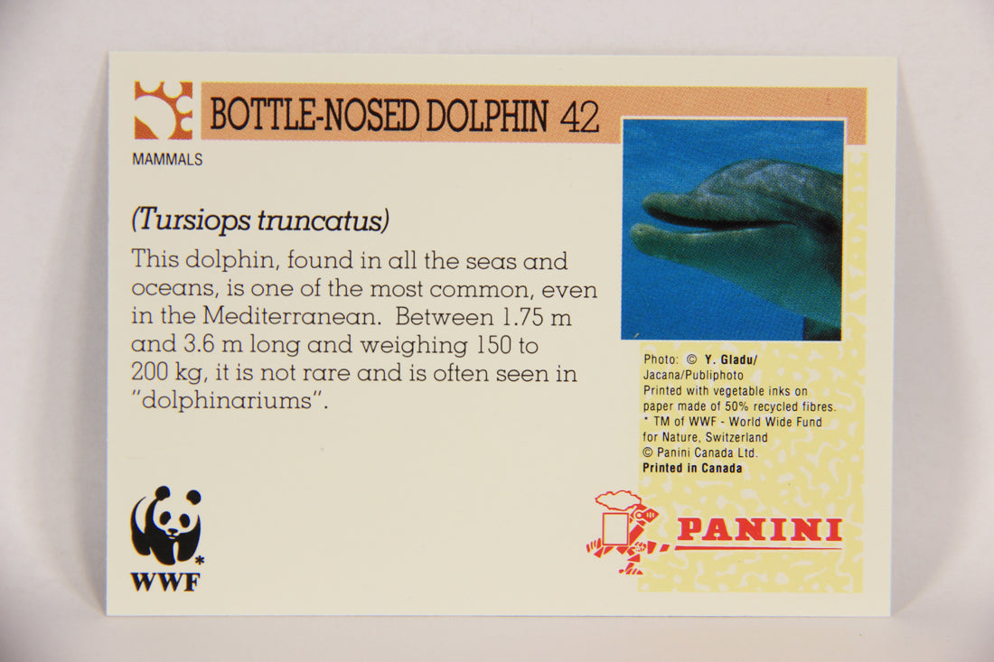 Wildlife In Danger WWF 1992 Trading Card #42 Bottle-Nosed Dolphin ENG L016978