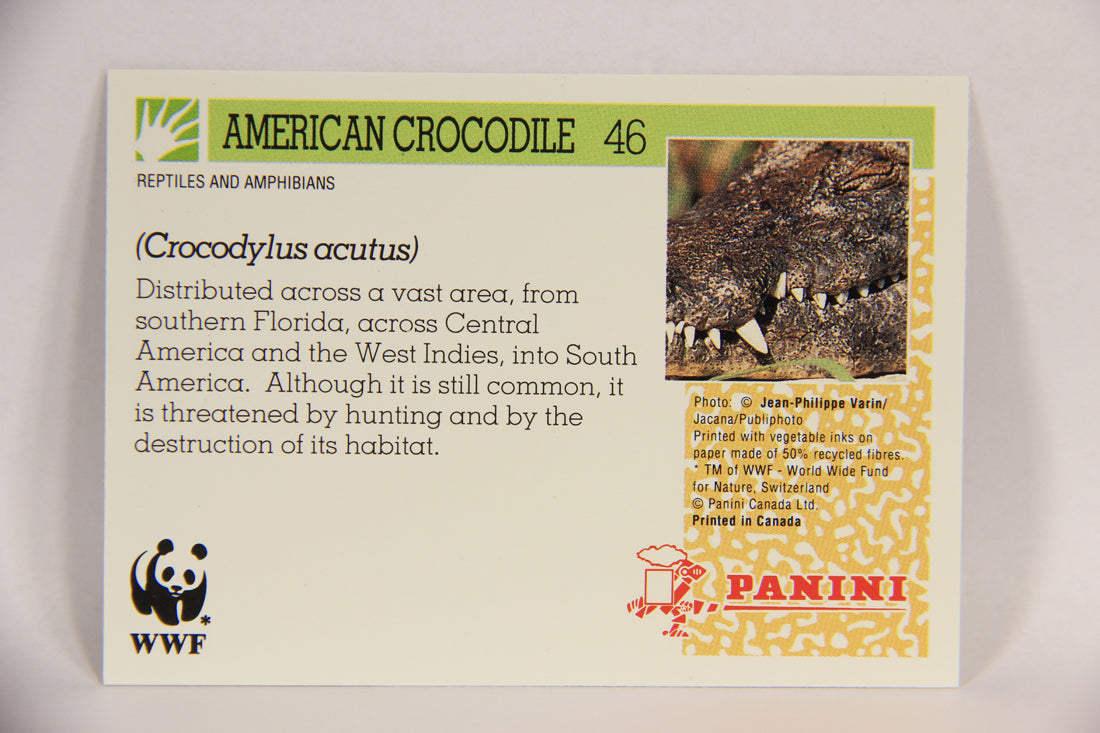 Wildlife In Danger WWF 1992 Trading Card #46 American Crocodile ENG L016982