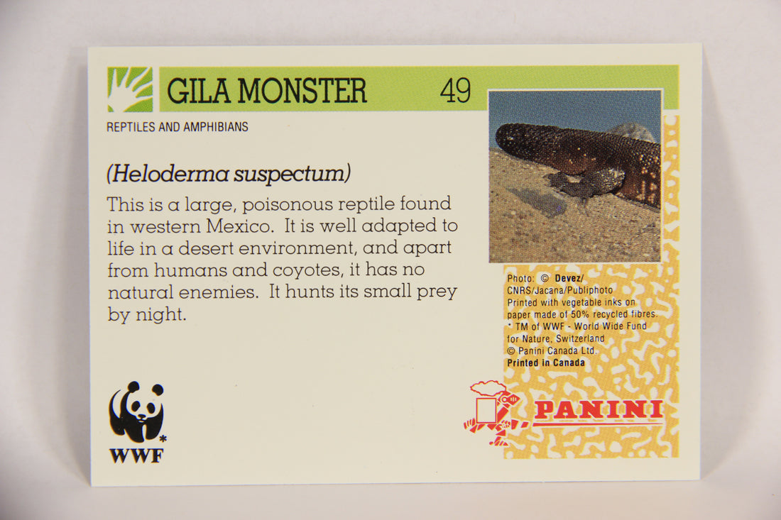 Wildlife In Danger WWF 1992 Trading Card #49 Gila Monster ENG L016985