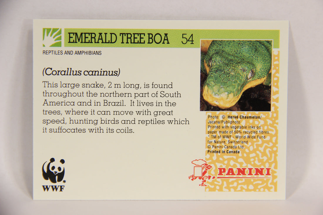 Wildlife In Danger WWF 1992 Trading Card #54 Emerald Tree Boa ENG L016990