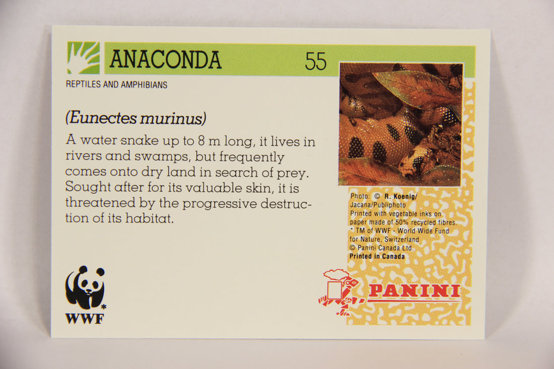 Wildlife In Danger WWF 1992 Trading Card #55 Anaconda ENG L016991