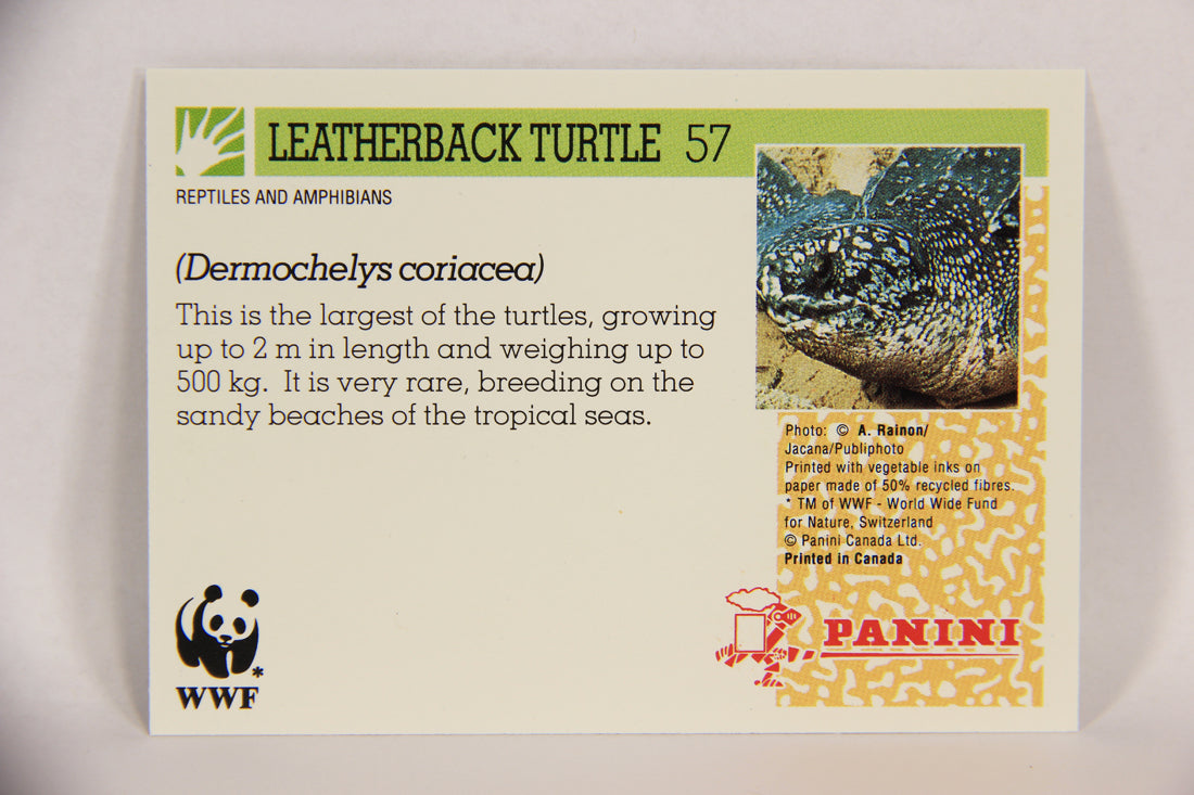 Wildlife In Danger WWF 1992 Trading Card #57 Leatherback Turtle ENG L016993