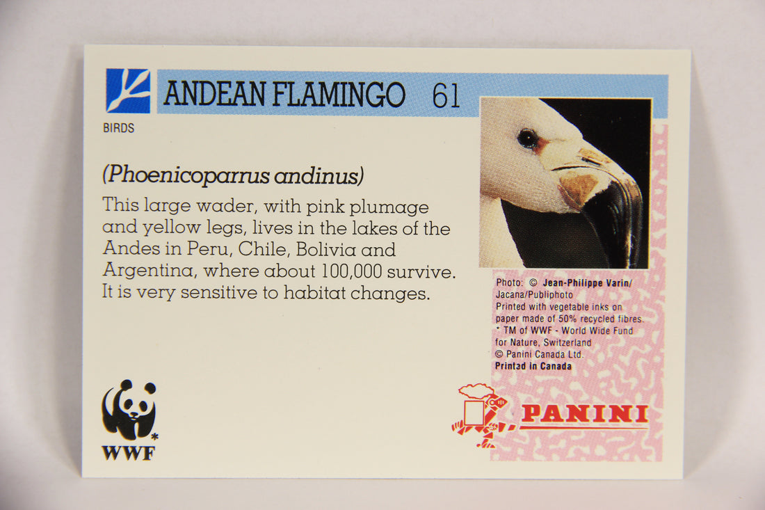Wildlife In Danger WWF 1992 Trading Card #61 Andean Flamingo ENG L016997