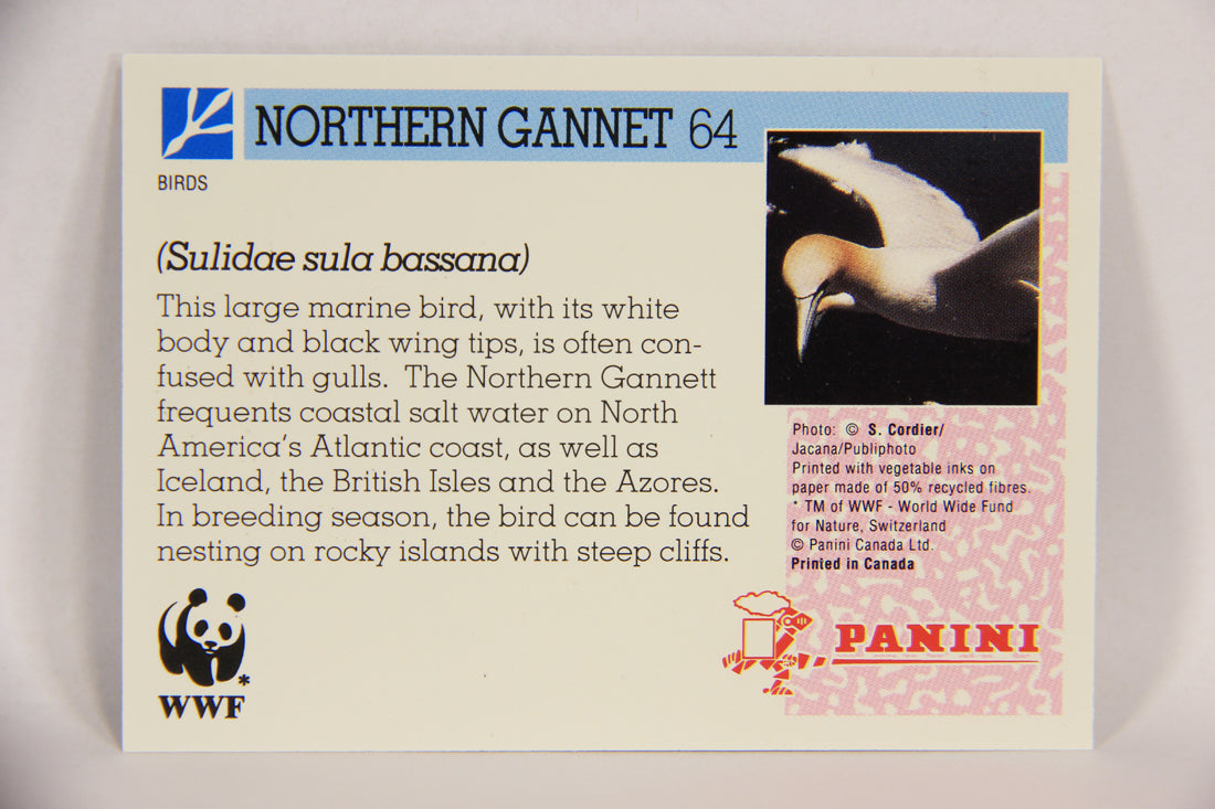 Wildlife In Danger WWF 1992 Trading Card #64 Northern Gannet ENG L017000