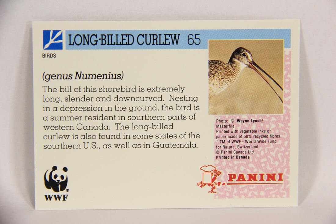 Wildlife In Danger WWF 1992 Trading Card #65 Long-Billed Curlew ENG L017001