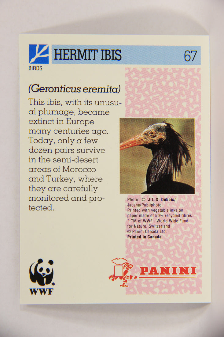 Wildlife In Danger WWF 1992 Trading Card #67 Hermit Ibis ENG L017003