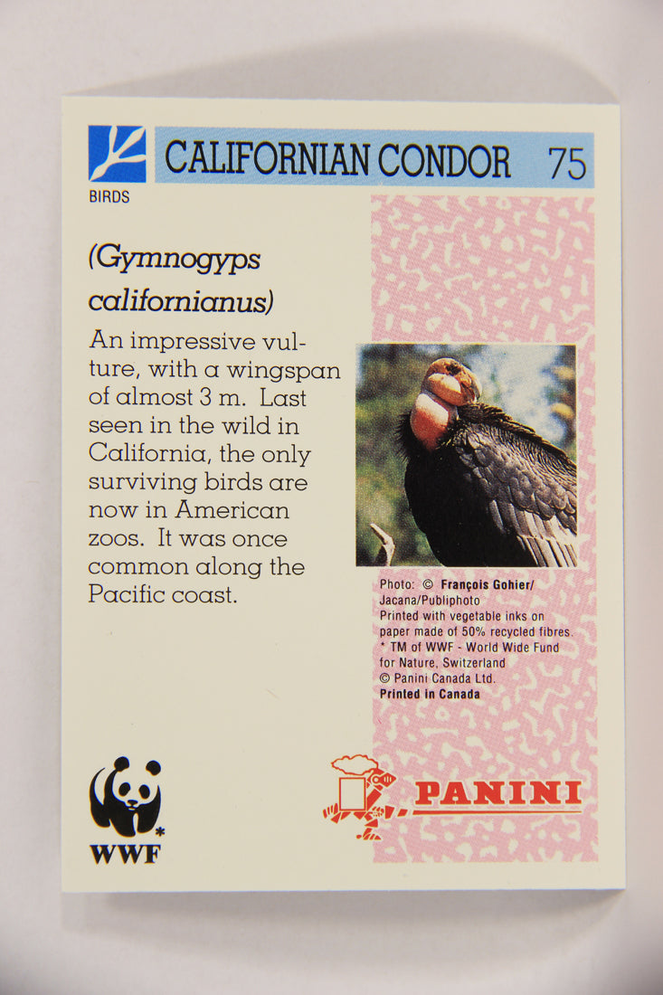 Wildlife In Danger WWF 1992 Trading Card #75 Californian Condor ENG L017011