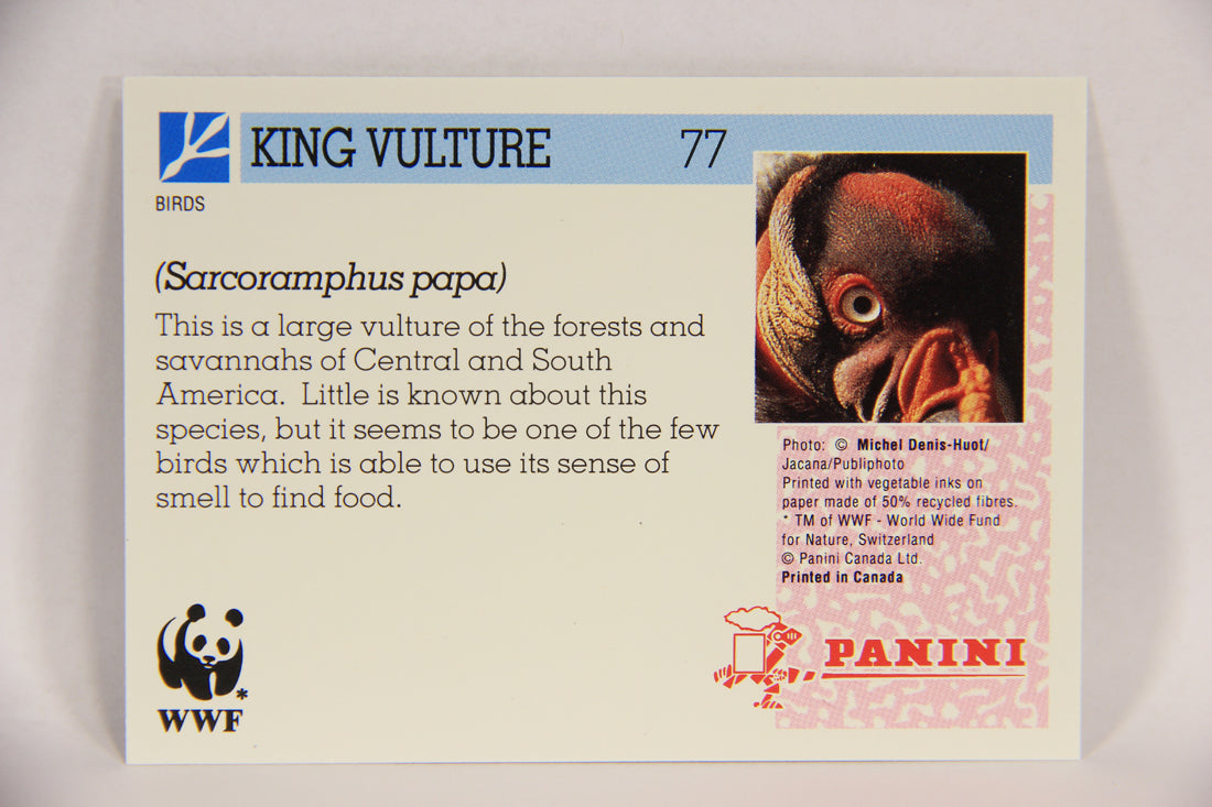 Wildlife In Danger WWF 1992 Trading Card #77 King Vulture ENG L017013