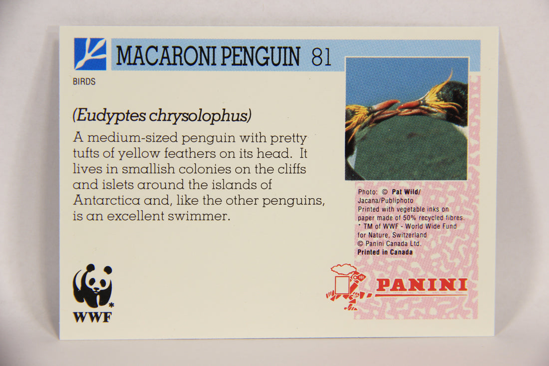 Wildlife In Danger WWF 1992 Trading Card #81 Macaroni Penguin ENG L017017