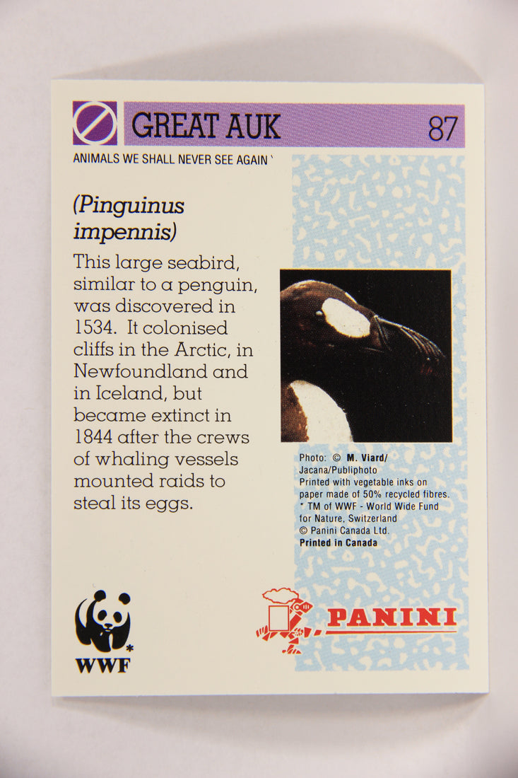 Wildlife In Danger WWF 1992 Trading Card #87 Great Auk ENG L017023