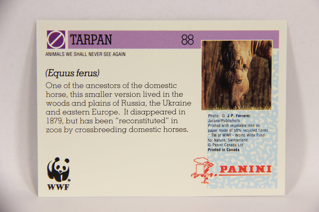 Wildlife In Danger WWF 1992 Trading Card #88 Tarpan ENG L017024
