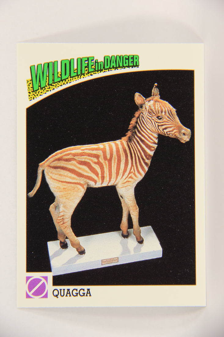 Wildlife In Danger WWF 1992 Trading Card #89 Quagga ENG L017025