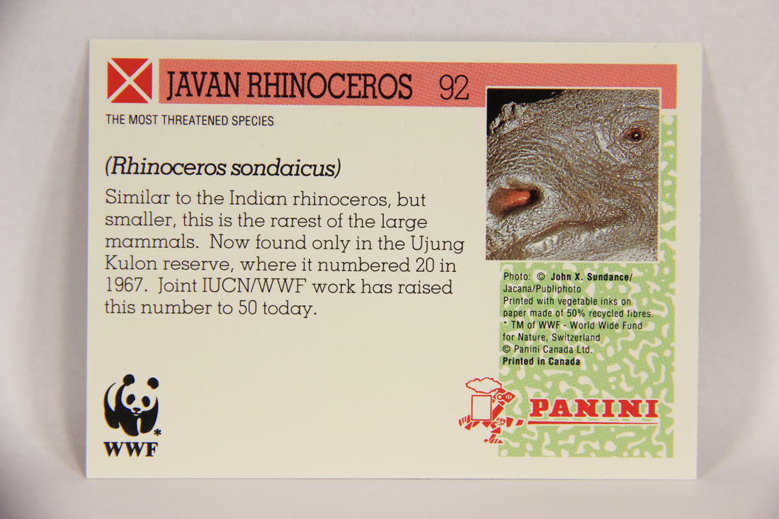 Wildlife In Danger WWF 1992 Trading Card #92 Javan Rhinoceros ENG L017028