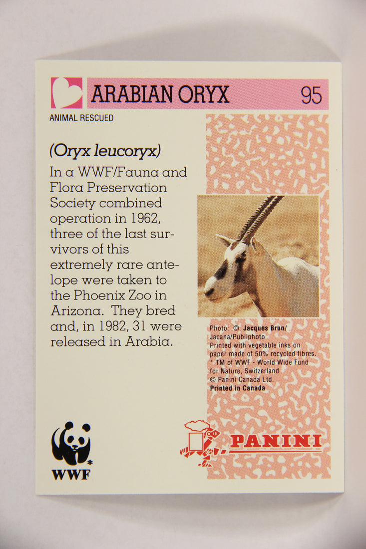 Wildlife In Danger WWF 1992 Trading Card #95 Arabian Oryx ENG L017031