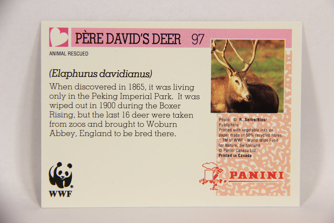 Wildlife In Danger WWF 1992 Trading Card #97 Père David's Deer ENG L017033