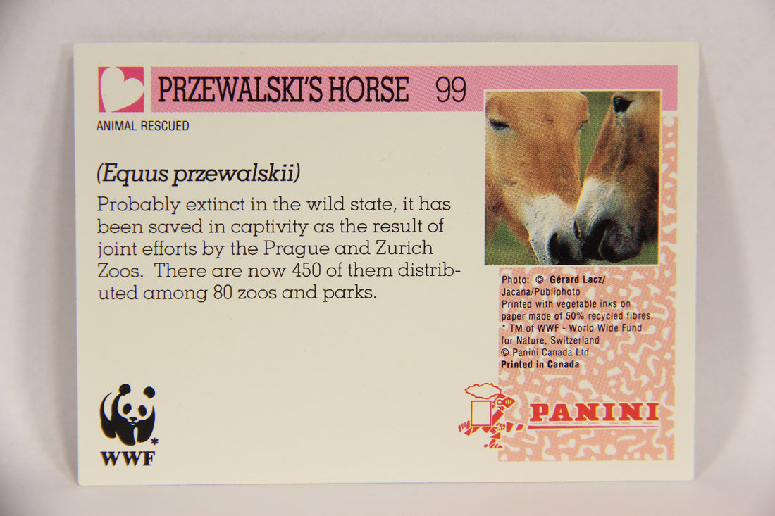 Wildlife In Danger WWF 1992 Trading Card #99 Przewalski's Horse ENG L017035
