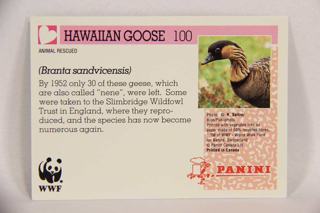 Wildlife In Danger WWF 1992 Trading Card #100 Hawaiian Goose ENG L017036