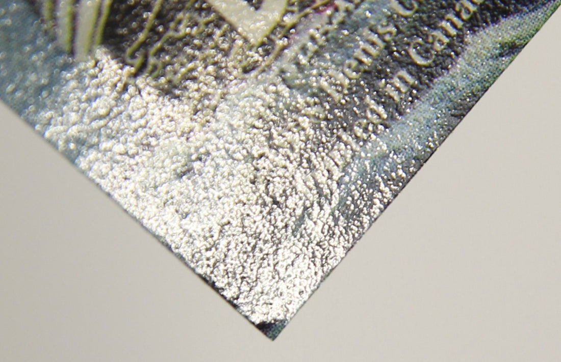 Titanic Collector Cards 1998 Trading Card #58 Titanic Orphans ENG L017541