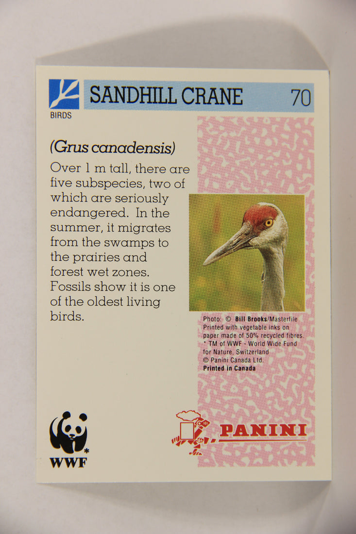 Wildlife In Danger WWF 1992 Trading Card #70 Sandhill Crane ENG L017681